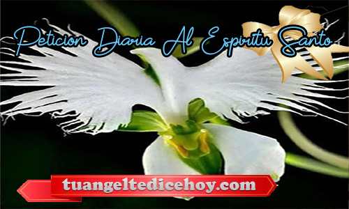 PETICIÓN DIARIA AL ESPÍRITU SANTO 20/05/2020